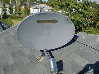 Dish