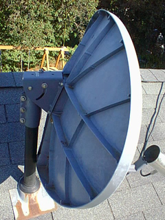 Dish Side View