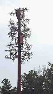 cell phone tower